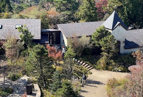 珍しい設計が施されたお店。教会風の建物と天窓がある建物が森の中に佇んでいる。
