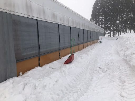 2日目が終わった時点での雪かきの成果