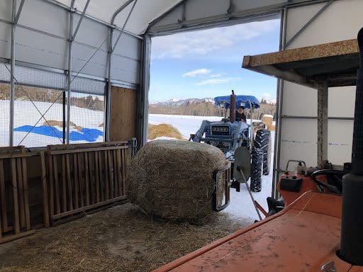 トラクターで新しい餌を運んでくる様子