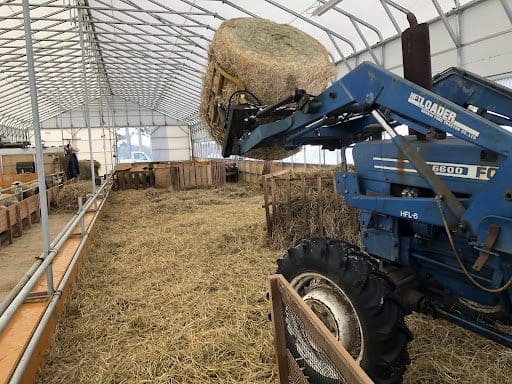 トラクターで運んできた餌を持ち上げて下ろす様子