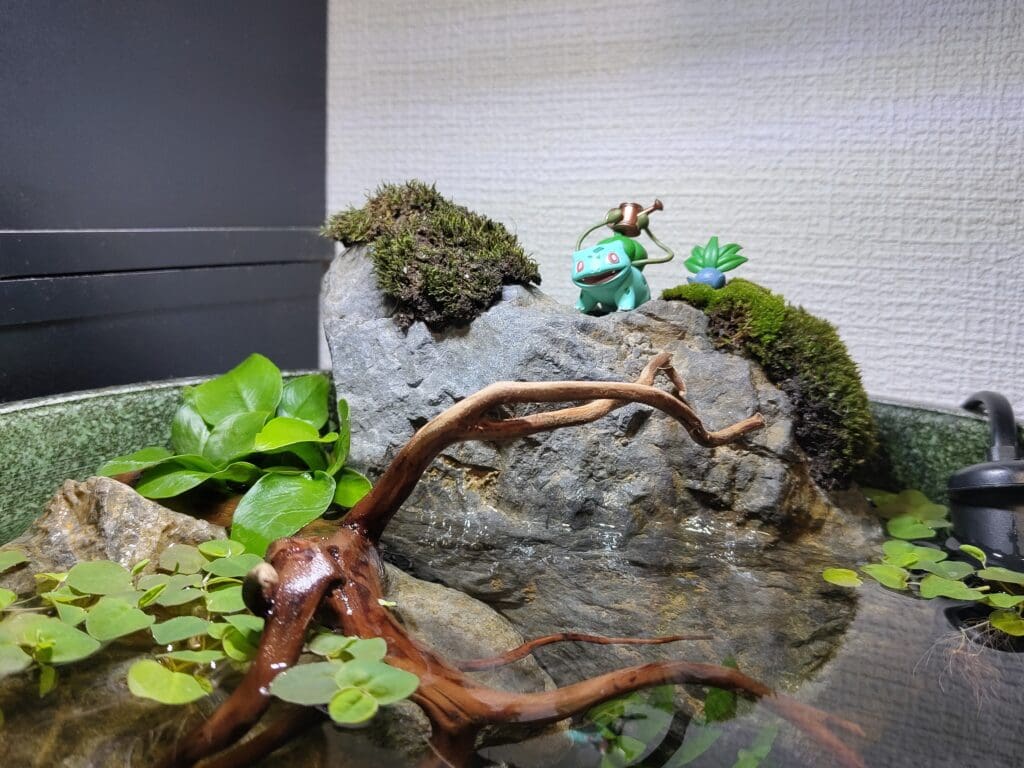 メダカ鉢とフシギダネのフィギュア