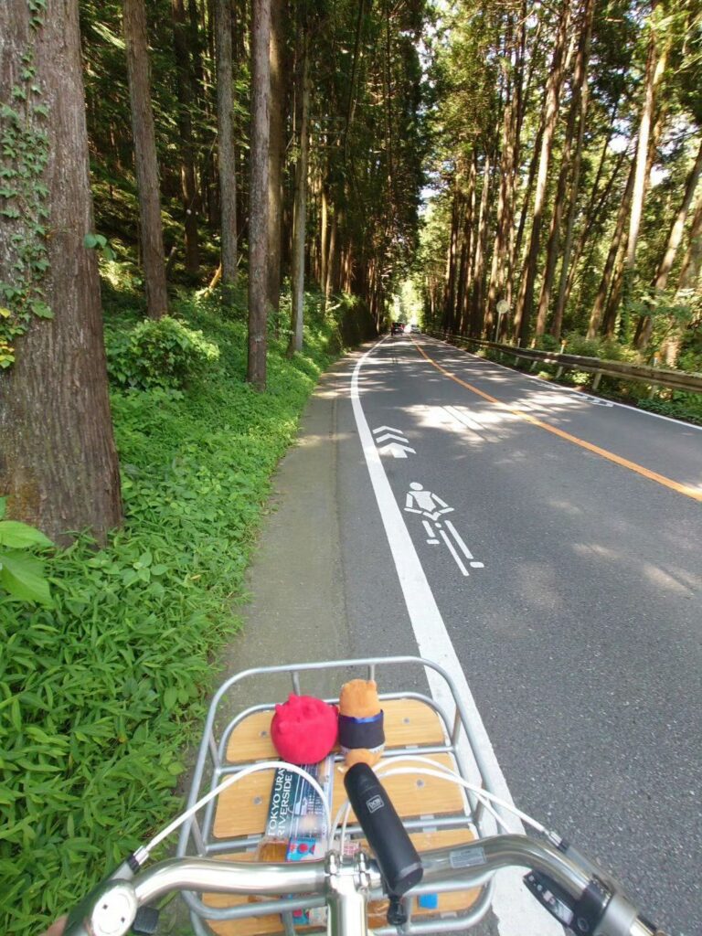 サイクリング@秋川渓谷