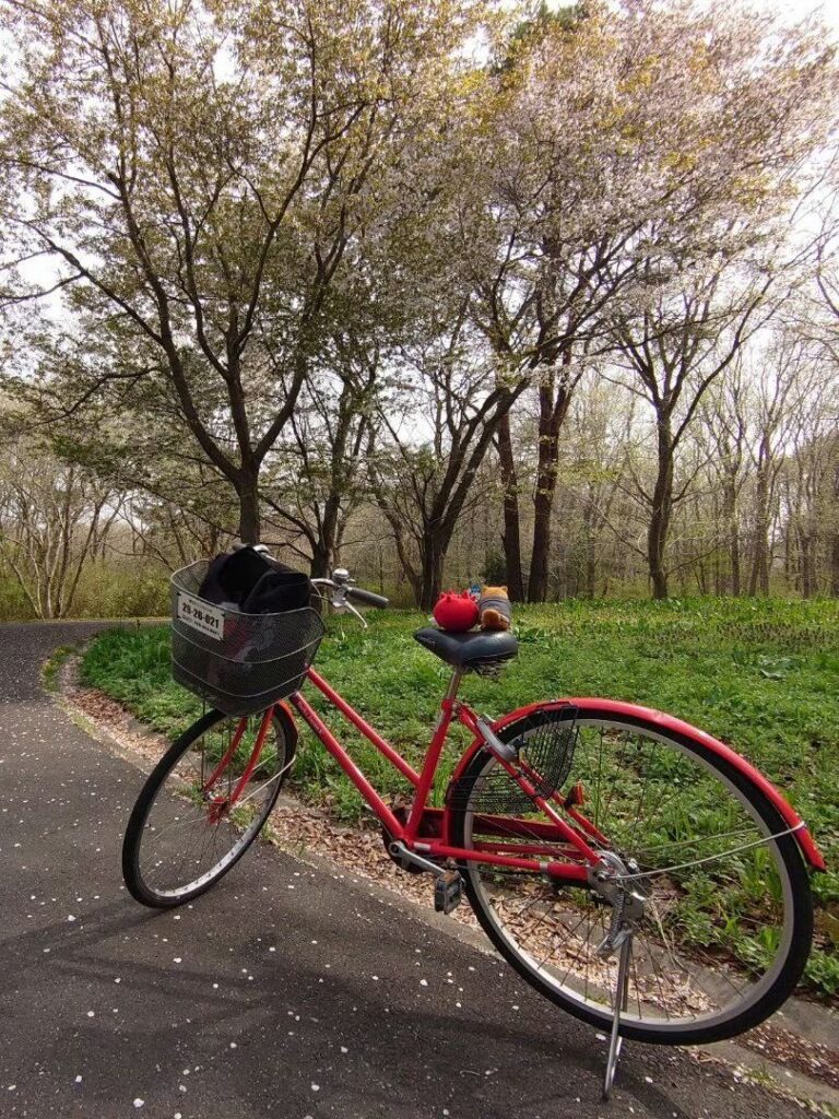 サイクリング@国立昭和記念公園