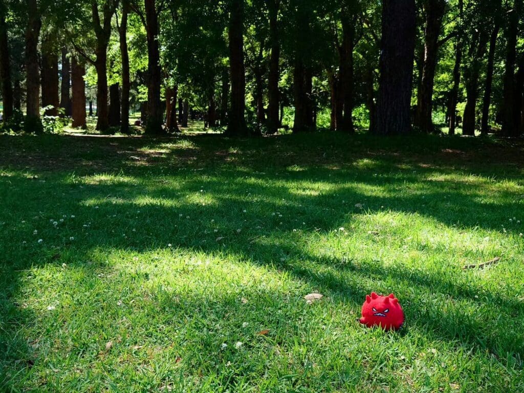 ぬい写真@どこかの公園