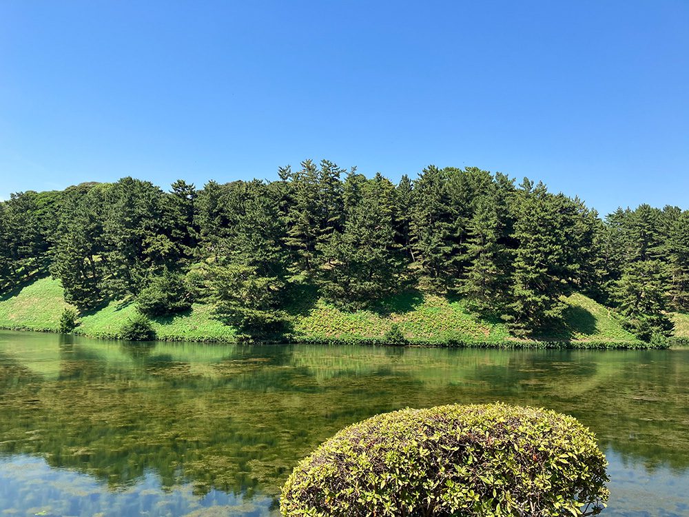 青空の下の皇居のお堀の写真。水面に樹木が映っている。