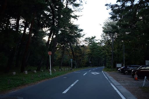 海へつながる道路
