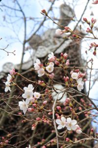 160325_kyoto_15