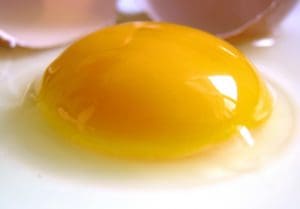 egg