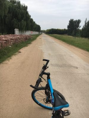 レンタル自転車