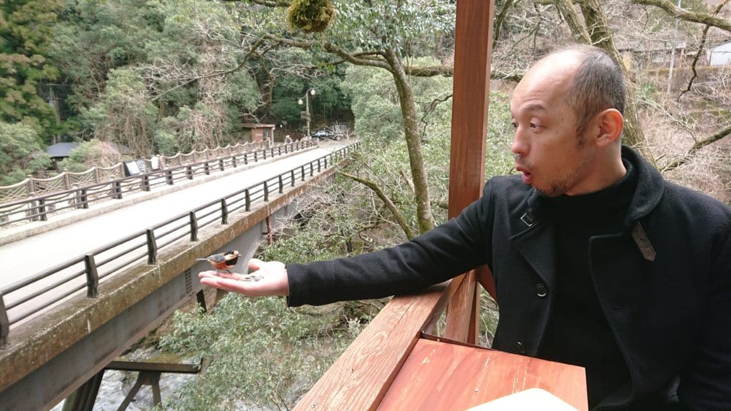 カフェ森のくまさん