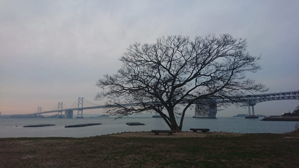 沙弥ナカンダ浜の一本榎