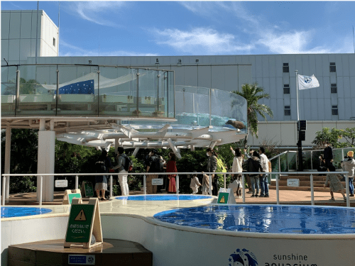 コロナの影響で水族館は人数制限をしているのため、普段よりも来場者数が少ない屋内の風景