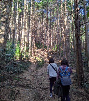 妹を先頭に母親が林の間の登山道を歩いている後ろ姿を撮影している。