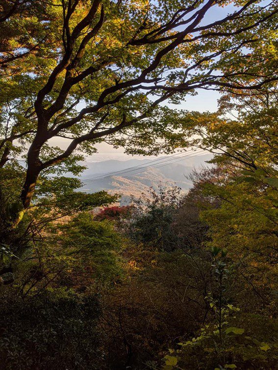 木々の間から紅葉した低い山脈が眼下に広がっている頂上近くから撮影された写真。