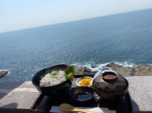 穏やかな海をバックに、シラス丼、お味噌汁、お漬物がお盆に載せられている