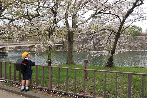 一番奥には大阪城、そしてお濠、お濠沿いに植えられた桜の木の下で大阪城を眺めている小学校1年生の男の子の後ろ姿(横写真)