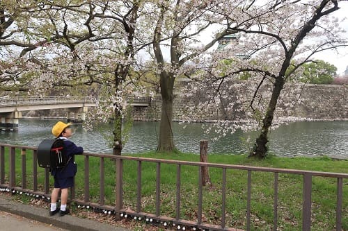一番奥には大阪城、そしてお濠、お濠沿いに植えられた桜の木の下で大阪城を眺めている小学校1年生の男の子の後ろ姿（横写真）
