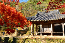 紅葉の中、山の中腹に建っている瓦屋根の小さな建物