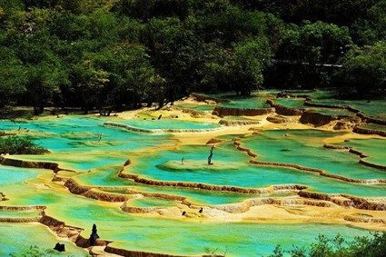 黄龍の写真。カルスト地形。棚田状の池が連なり、エメラルドグリーンに水面が輝いている。