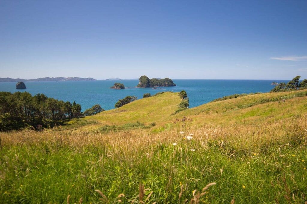 ニュージーランドの海と山が見える景色です。