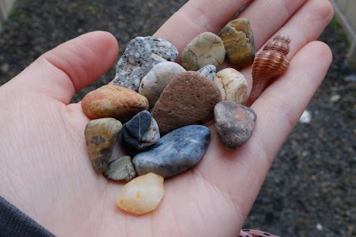 綺麗な形に浸食された色とりどりの
小石と貝殻が手のひらに載っている