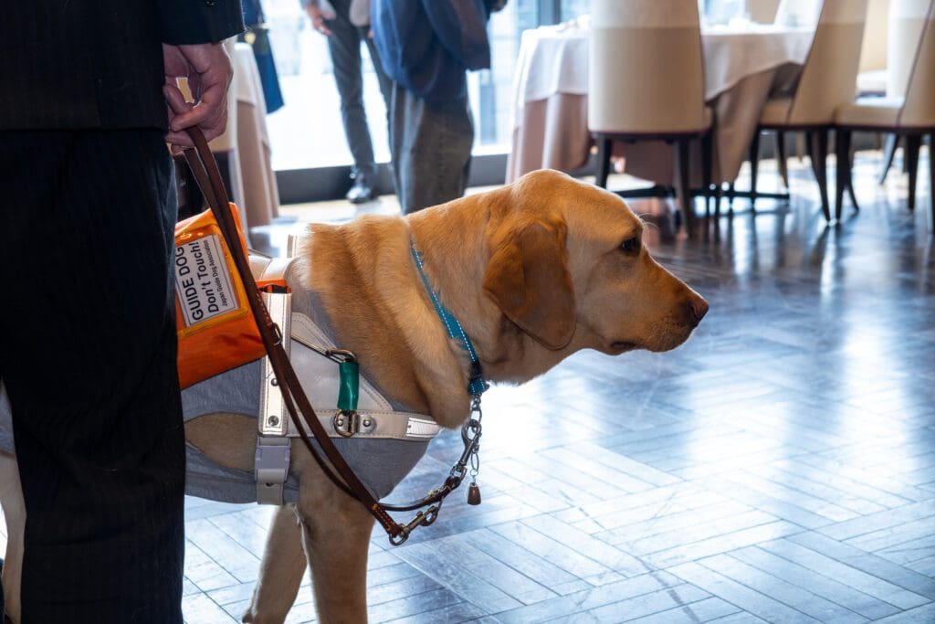来賓の方のパートナーである盲導犬