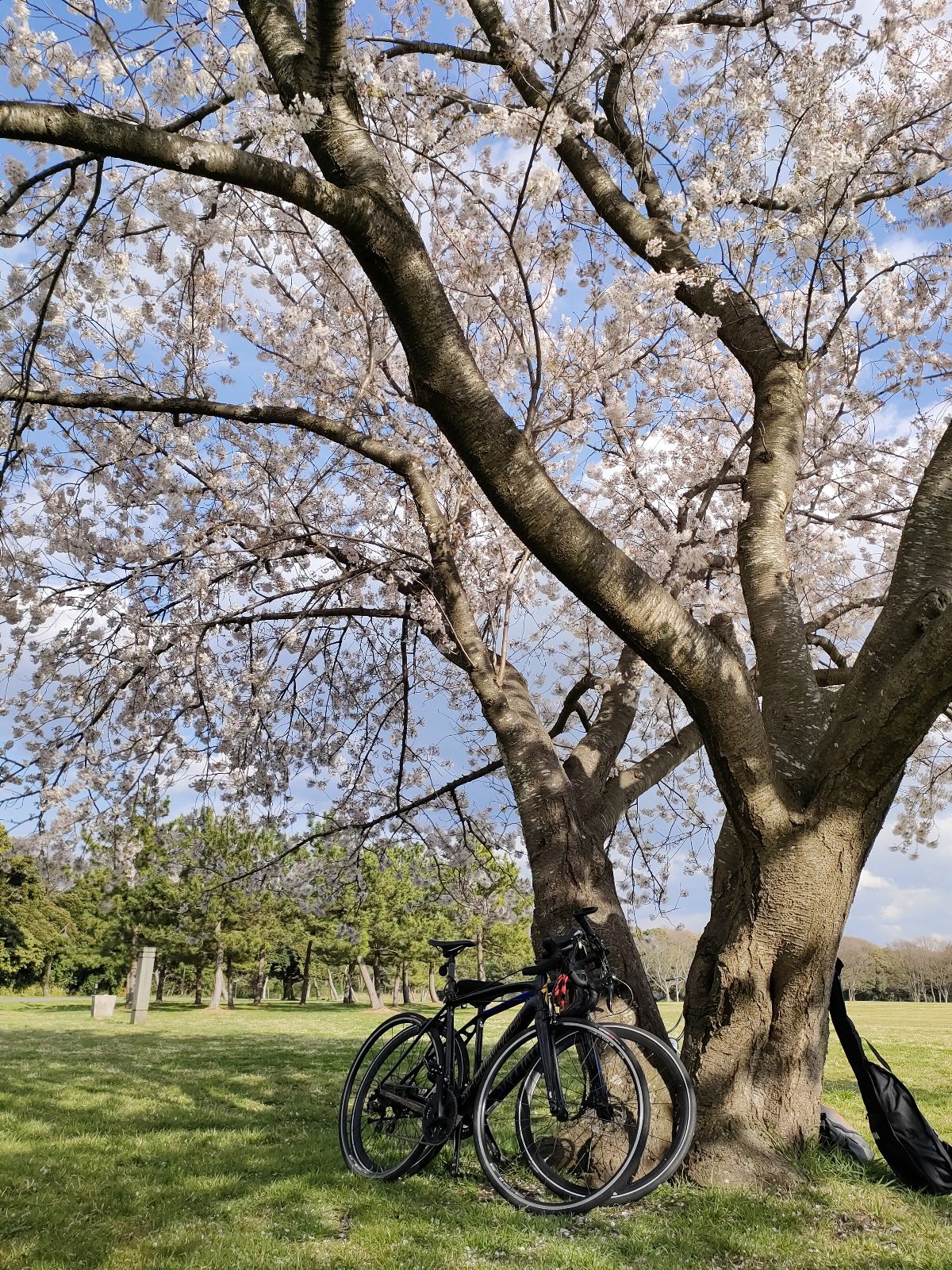 mizumoto park