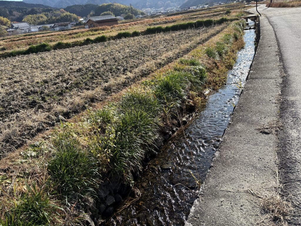 稲を刈った後の田んぼと水路