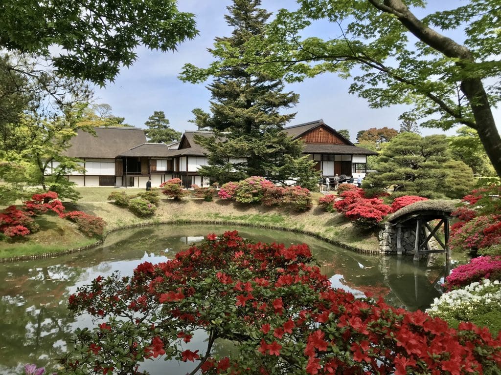 無数の赤い花を咲かせたツツジの低木が池の周りを取り囲んでいる。向こう岸の奥には、白い障子の上に檜皮葺きの屋根が乗る高床式の建物が見える。