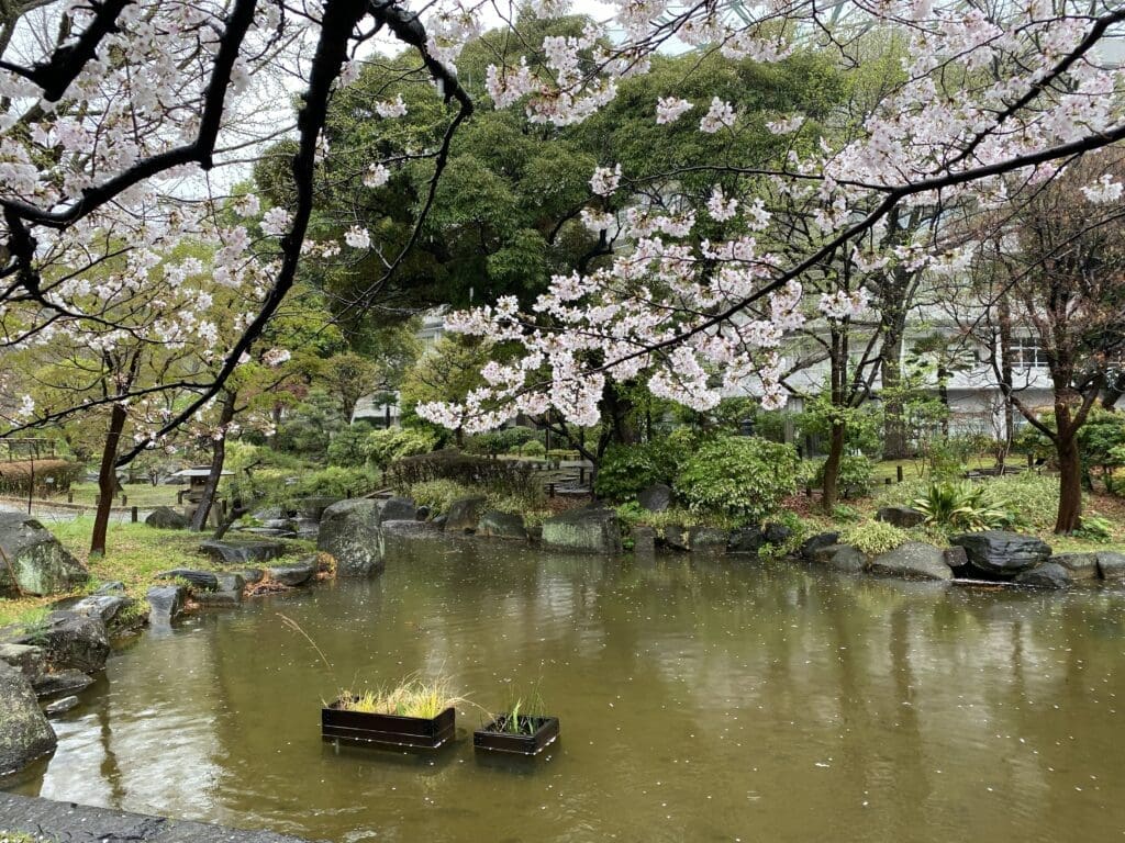 横網町公園の日本庭園
