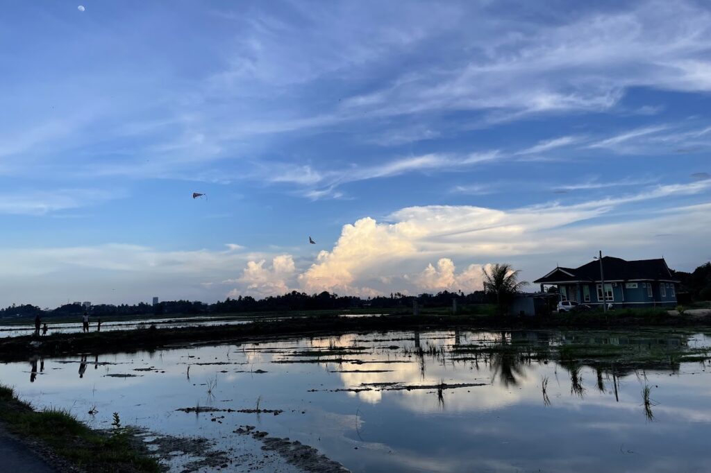 マレーシア、クランタン州の田園を撮影した写真。夕暮れの景色が、田園の水面に反射している。