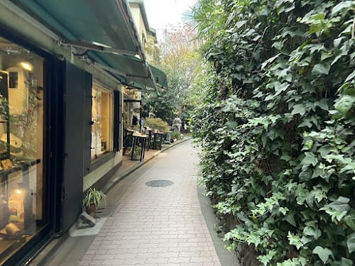 右手にアイビーが生えた壁、通路を挟んで左手にはおしゃれなお店のショーウインドウ。