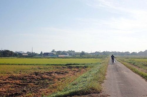 田園の中、サーフボードを自転車に乗せて、ビーチに向かうサーファー。