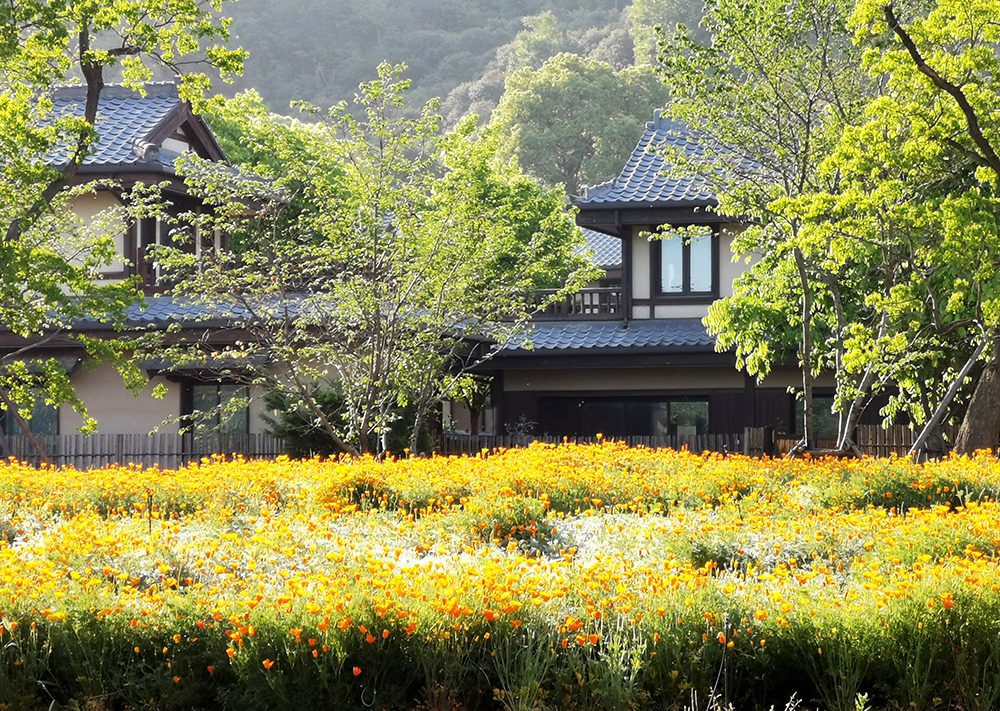 拈花湾の自然