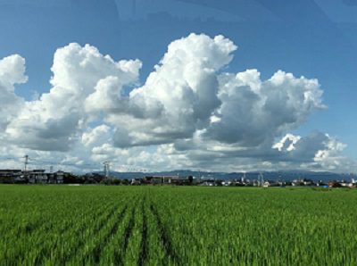 緑の田園と空が大きく広がっている風景写真